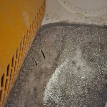 Yetkili Servis Müdahalesi Nedeniyle Yaşanan Sorunlar Ve Kalıcı Çözüm Talebi