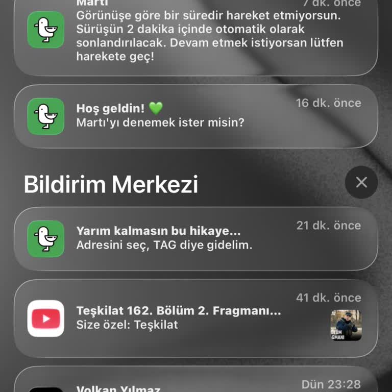 Kısa Martı Sürüşüne Beklenmedik Yüksek Ücret Yansıtıldı