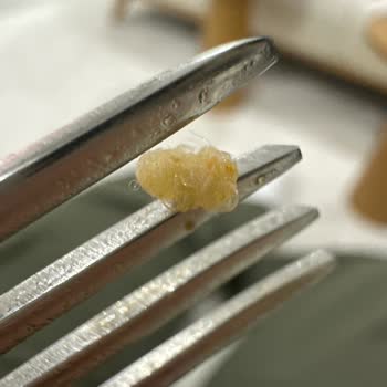 Noodle Paketinden Böcek Çıkması Güvenimi Tamamen Yok Etti