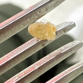 Noodle Paketinden Böcek Çıkması Güvenimi Tamamen Yok Etti