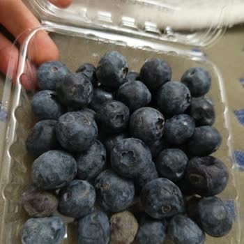 Migros Görükle Şubesinden Alınan Bozuk Ürün Ve Çalışanların İlgisizliği Hayal Kırıklığı