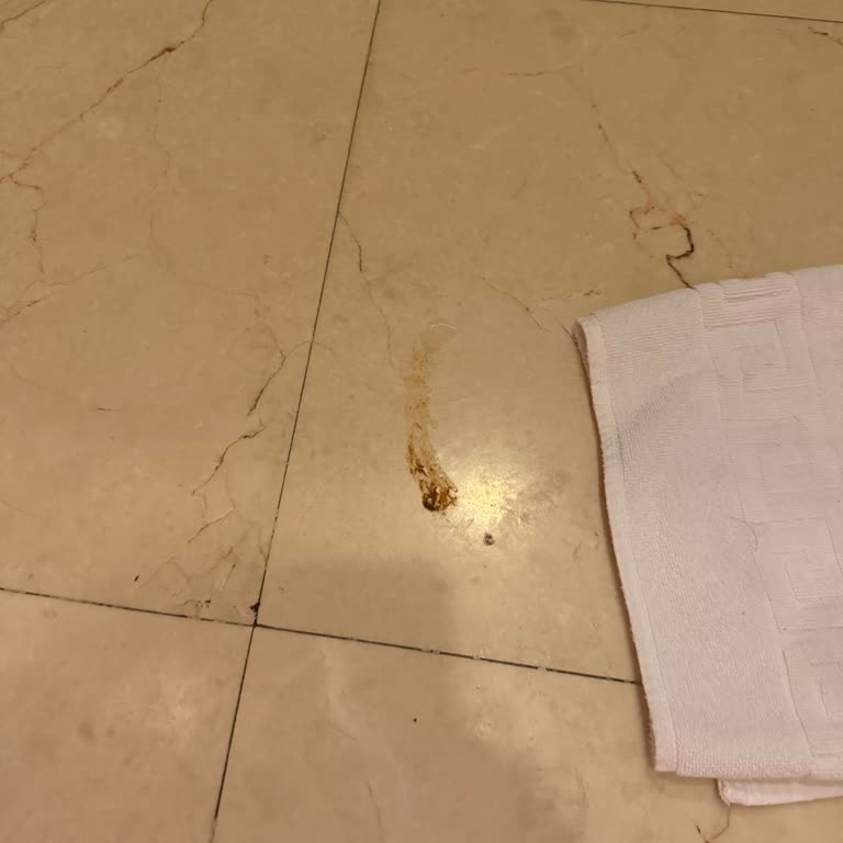 Barida Hotels Memnuniyetsizliği