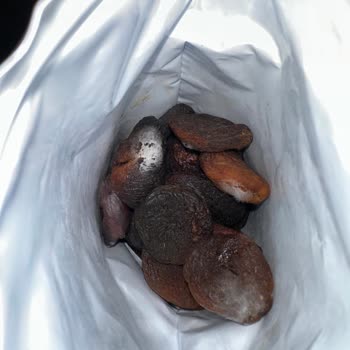 Tarihi Geçmeyen Üründe Beklenmedik Sorun, Değişim Veya İade Talebi