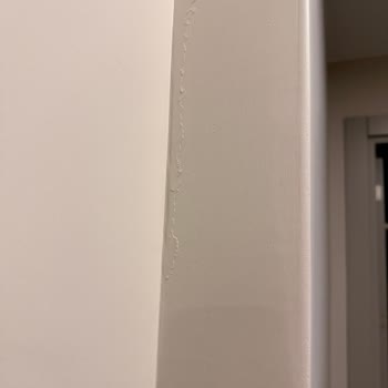 Filli Boya İç Cephe Boyasında Kabarma Ve Leke Sorunu, Çözüm Bekliyorum