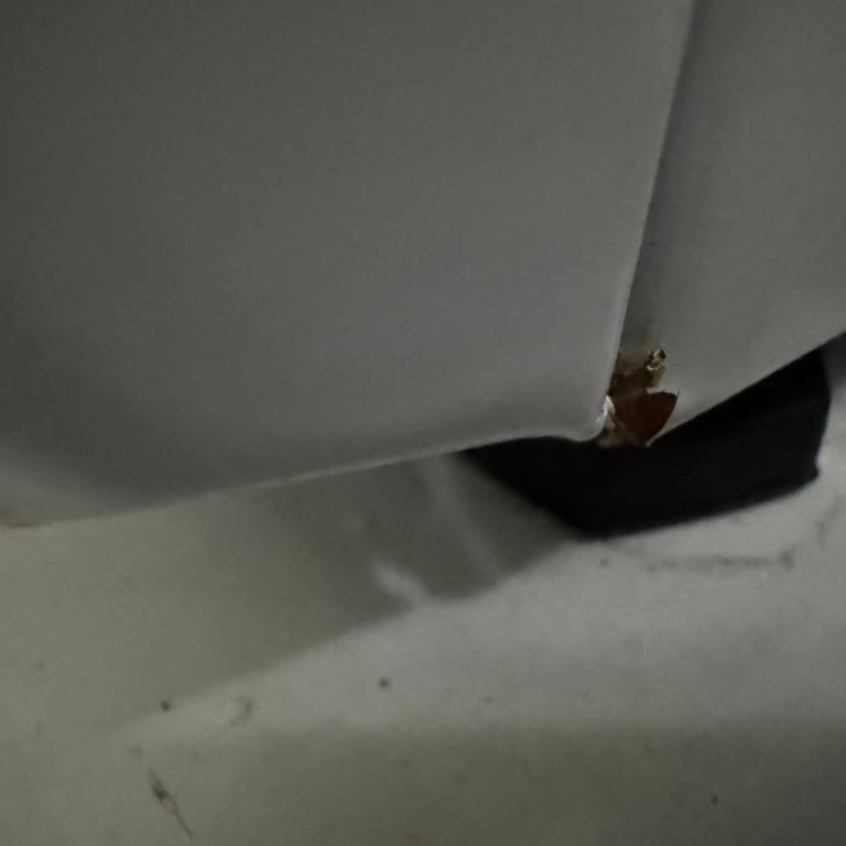 Yeni Aldığım Çamaşır Makinesi Darbe İzli Ve Paslı Teslim Edildi