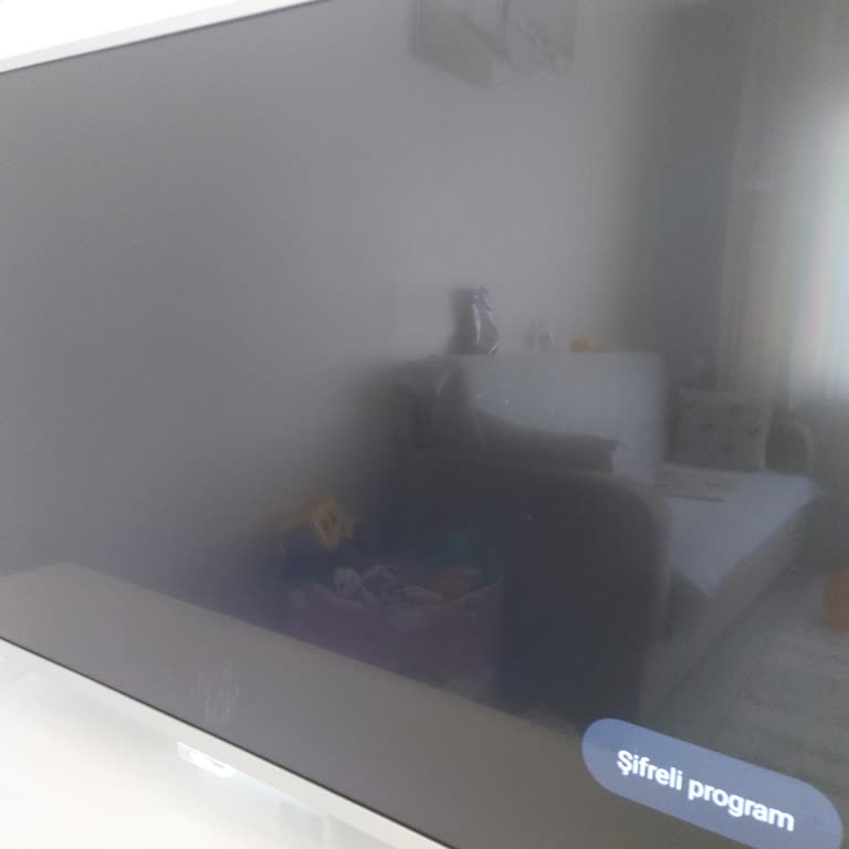 Philips TV'de Sadece TRT 1 Kanalı Şifreli Uyarısı Sorunu Çözülmüyor