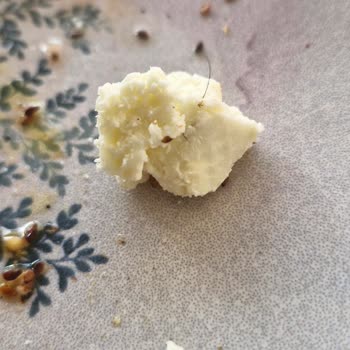 Ş**** Tulum Peynirinde Karşılaşılan Hijyen Problemi