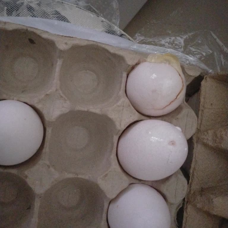 Eksik Ve Özensiz Teslimat Nedeniyle Mağduriyet Ve İade Talebi