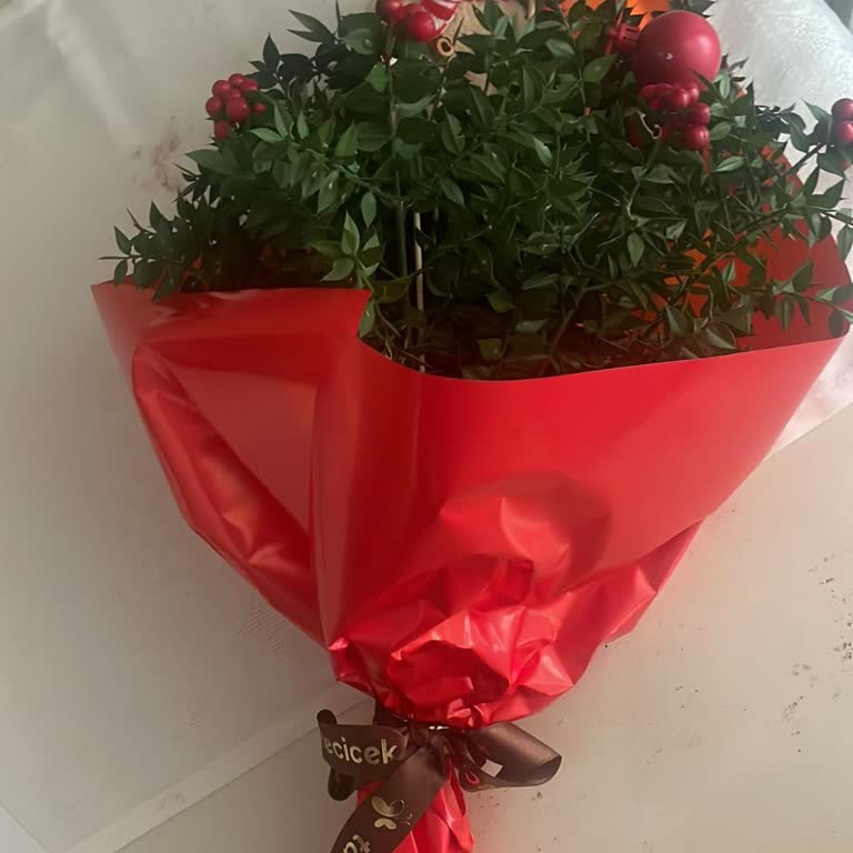 Sipariş Verdiğimden Farklı Ve Daha Düşük Değerli Ürün Gönderildi, Çözüm Sunulmadı