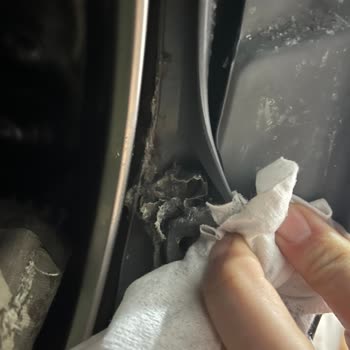 LG Çamaşır Makinesi Pamukçuk Ve Toz Sorunu Hayatımızı Zorlaştırıyor!