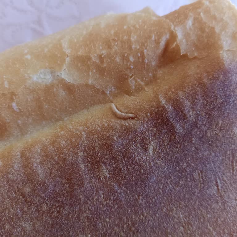 Karabük Belediyesi Halk Ekmek Şikayeti