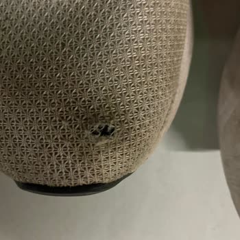 In Street Kısa Sürede Deforme Olan Puma Ayakkabı İçin Fiziki İnceleme Ve Değişim Talebi