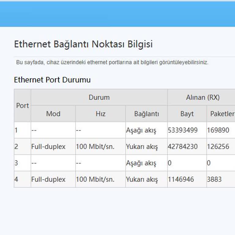 1000 Mbps İnternet Hızım Sürekli 100 Mbps’e Düşüyor, Çözüm Bekliyorum