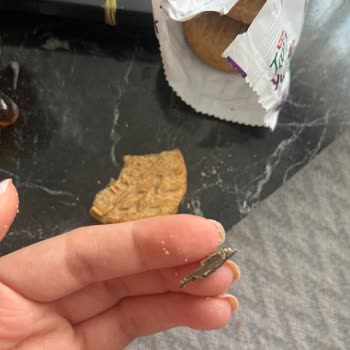 Bisküvinin İçinden Çıkan Yabancı Maddeyle Yaşadığım Şok Ve Endişe