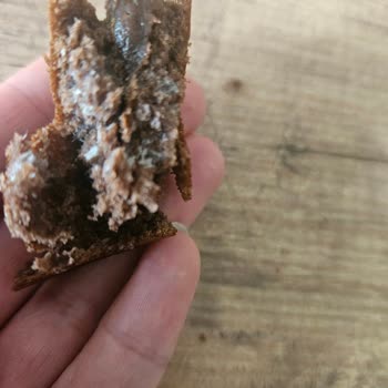 Protein Pancake Paketinde Küf Ve Kötü Koku Şoku: Güvenim Sarsıldı