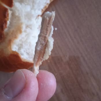 Bizim AVM | Niğde Ekmeğin İçinden Tahta Parçası Çıktı