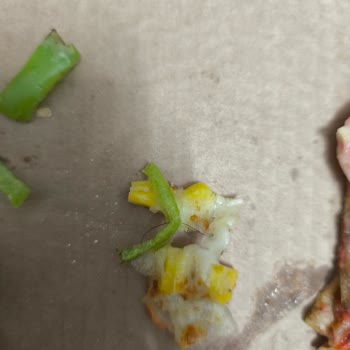 Domino's Pizza'da Hijyen Sorunu Ve Personel Davranışları Güvenimi Sarstı