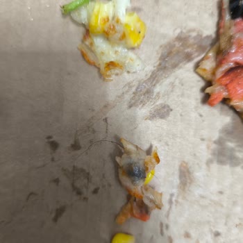 Domino's Pizza'da Hijyen Sorunu Ve Personel Davranışları Güvenimi Sarstı