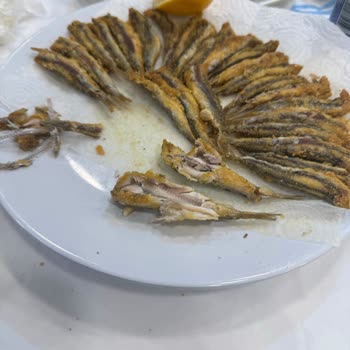 Bayat Ve Temizlenmemiş Balık, Kaba Tavır Ve İade Edilmeyen Ücretle Yaşanan Mağduriyet