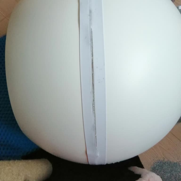 Servis Sonrası Hasarlı Ve Bantlanmış Akıllı Kedi Tuvaleti Teslimatı, Değişim Talebi