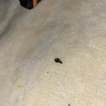 Eti Gong Bal Ve Hardal Aromalı Üründe Yanık Ve Siyah Parçalar Çıktı