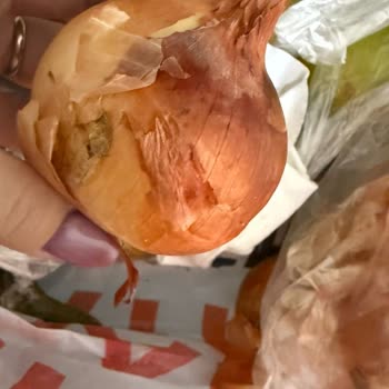 Migros Sanal Marketten Gelen Hasarlı Ve Bozulmuş Ürünler Mağduriyet Yarattı