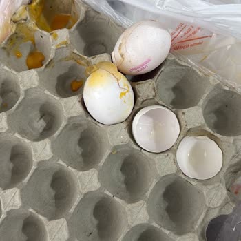 Migros Sanal Marketten Gelen Hasarlı Ve Bozulmuş Ürünler Mağduriyet Yarattı