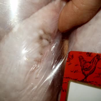 Bozuk Ürün Teslimatı Ve Yetersiz Destek Nedeniyle Ücret İadesi Talebi