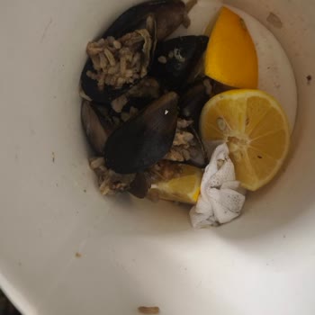 Midyeci Yasin Tuzla Şubesinde Bayat Ve Hijyensiz Ürün Hayal Kırıklığı