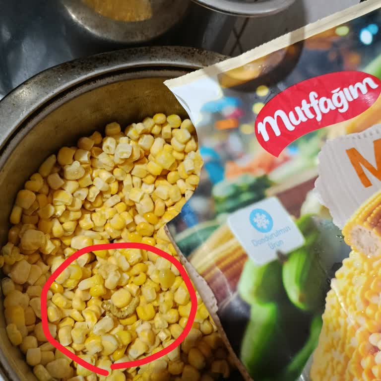 Satın Aldığım Üründe Yabancı Madde Çıkması Nedeniyle Hayal Kırıklığı Yaşadım