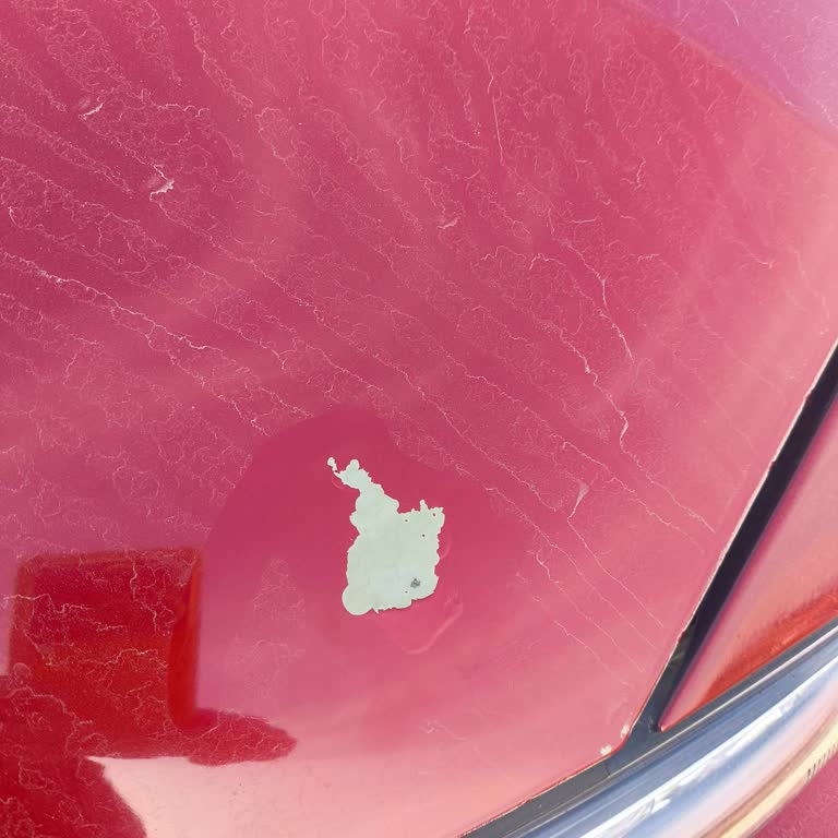 Hyundai Kona'da Kaput Ve Tavan Boya Atması Sorunu Ve Ücretsiz Tamir Talebi