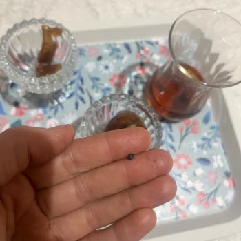 Makbul Cevizli Sucukta Taş Çıkması Gıda Güvenliğini Tehlikeye Atıyor