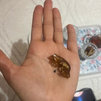 Makbul Cevizli Sucukta Taş Çıkması Gıda Güvenliğini Tehlikeye Atıyor