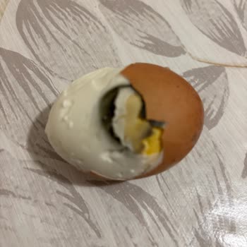 Bozuk Yumurta Ve Yetersiz Müşteri Hizmetiyle Hayal Kırıklığı