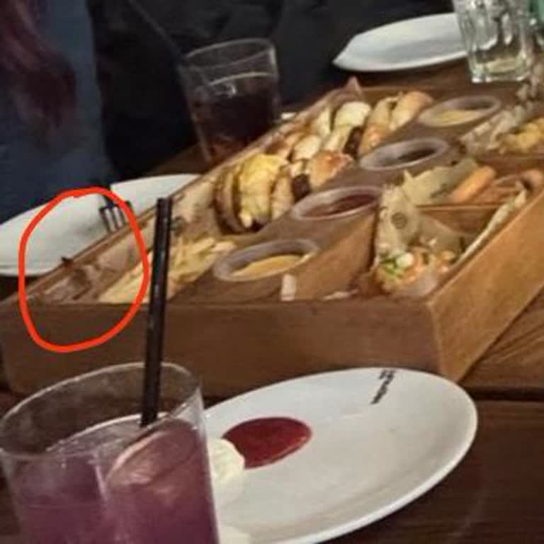 Restoranda Böcek İstilası Hijyen Skandalı Yaşattı