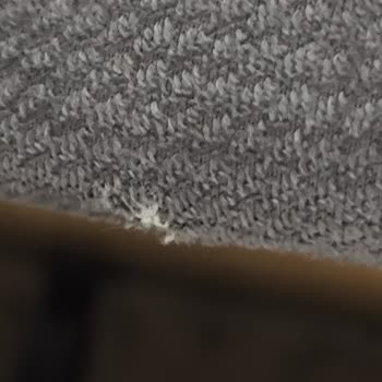 Yeni Aldığım Koltuk Takımında Yırtık Çıktı Mağazanın İlgisiz Tavrı Hayal Kırıklığı Yarattı