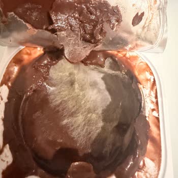 Son Kullanma Tarihi Geçmemiş Danette Pudingin Küflü Çıkması Ve İade Talebim