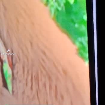 Vestel Televizyonda Değişim Ya Da İade Sorunu!
