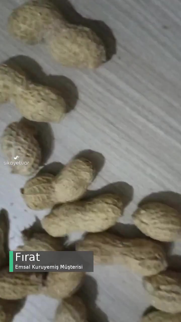 Emsal Kuruyemiş Üründen Böcek Çıkması videonun kapak resmi