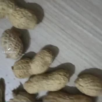Emsal Kuruyemiş Üründen Böcek Çıkması