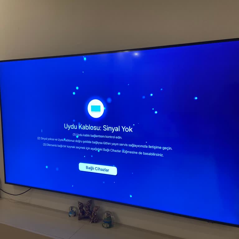 Yeni Alınan Samsung QLED TV’de Sürekli Sinyal Yok Hatası Ve Çözüm Bulamama Mağduriyeti
