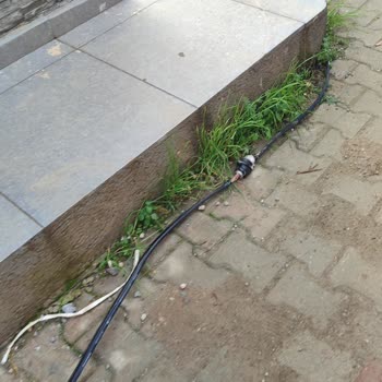 Tekrarlanan İnternet Kesintisi Nedeniyle Mağduriyet Ve Acil Onarım Talebi