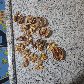 A101'den Aldığım Cevizlerin Kurtlanmış Ve Bozuk Çıkması Nedeniyle Sağlık Ve Kalite Endişesi