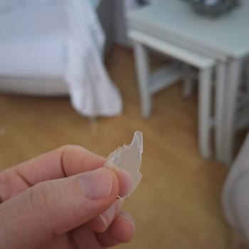 Pizzadan Çıkan Plastik Parça Sağlığımızı Tehdit Etti