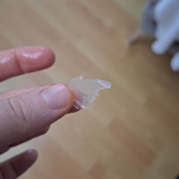 Pizzadan Çıkan Plastik Parça Sağlığımızı Tehdit Etti