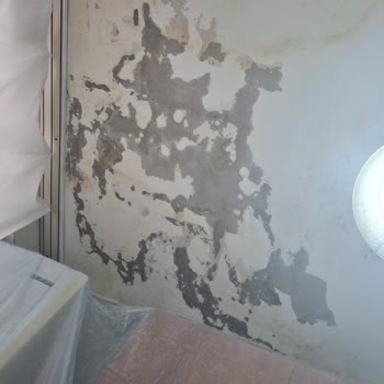 Su Sızıntısı Ve Dökülen Tavan Nedeniyle Çocuklarımızla Sağlıksız Evde Yaşamak Zorunda Bırakılıyoruz