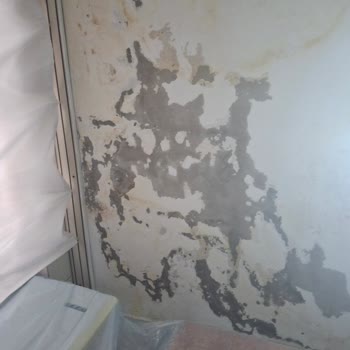 Su Sızıntısı Ve Dökülen Tavan Nedeniyle Çocuklarımızla Sağlıksız Evde Yaşamak Zorunda Bırakılıyoruz