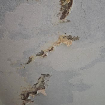 Su Sızıntısı Ve Dökülen Tavan Nedeniyle Çocuklarımızla Sağlıksız Evde Yaşamak Zorunda Bırakılıyoruz