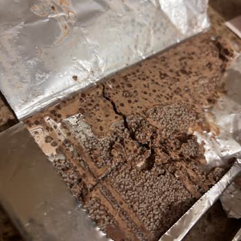 Son Tüketim Tarihi Geçmemiş Çikolatada Böceklenme Endişesi