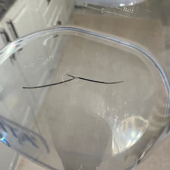 Garanti Kapsamında Çatlayan Brita Sürahi İçin Destek Bekliyorum